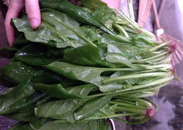 Những loại rau "lành" nhất nên ăn hàng ngày - Top 1 là một loại rau chống oxy hóa hàng đầu